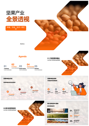 坚果种植业发展趋势与产量质量双升解析PPT模板