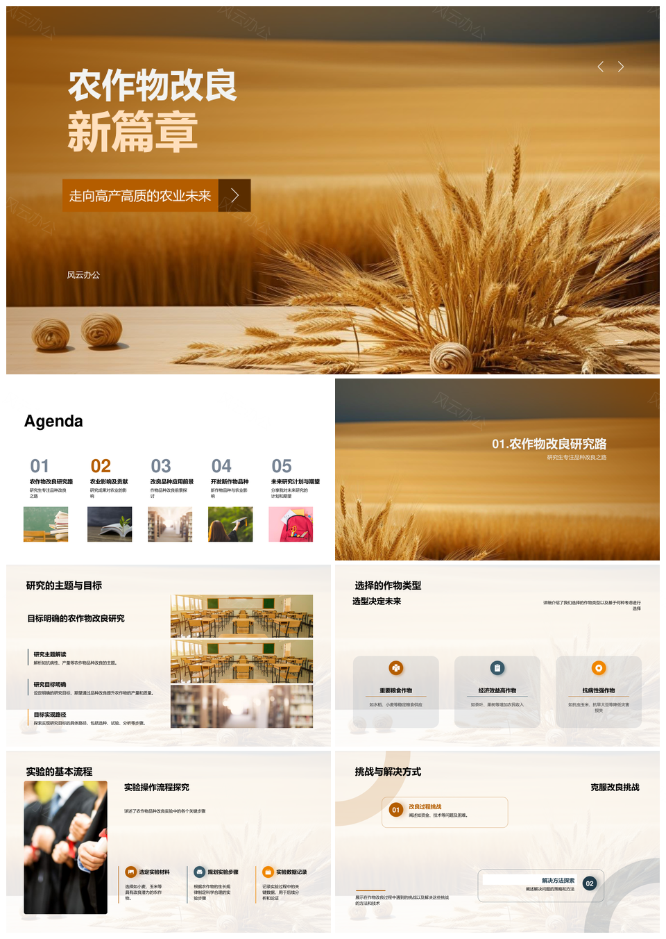 小麦高产抗病农研改良提质增产实验PPT模板