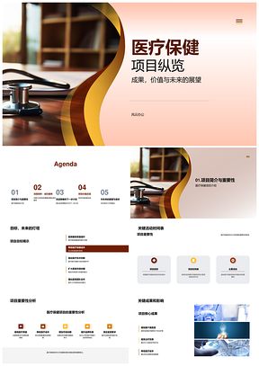 医疗保健项目成果案例进程价值展望PPT模板