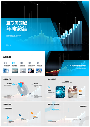 互联网领域年度总结营收利润资金回报率电脑PPT模板