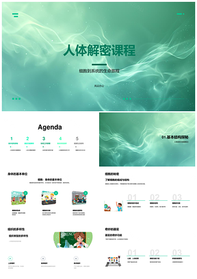 2025人体解密课程细胞组织器官系统心脏呼吸代谢PPT模板