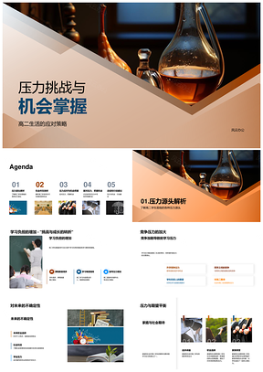 学业竞争压力挑战握机遇规划书向未来PPT模板