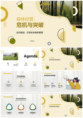 森林经营挑战与健康资金技术法律突破PPT模板