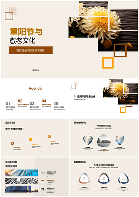 重阳敬老文化传承创新九菊探源PPT模板
