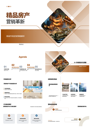 精品房产高端定制策略与市场细分趋势PPT模板