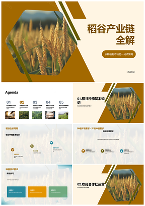 稻谷种植产业链市场趋势合作社运营分析PPT模板