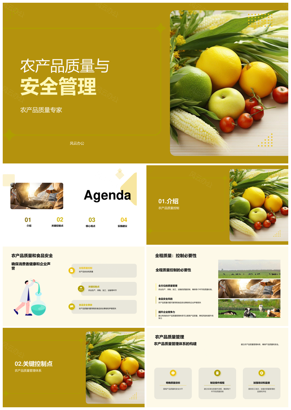 农产品质量安全全程产运储加管控PPT模板