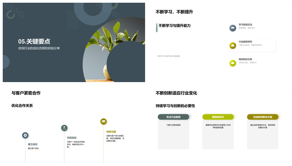 咨询顾问成长历程与行业经验总结PPT模板