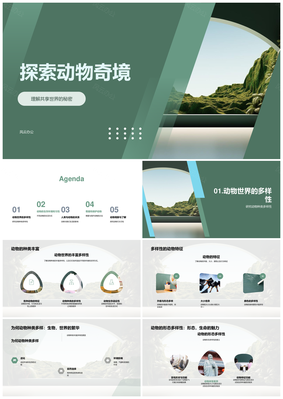 探索动物多样共护丛林生态PPT模板
