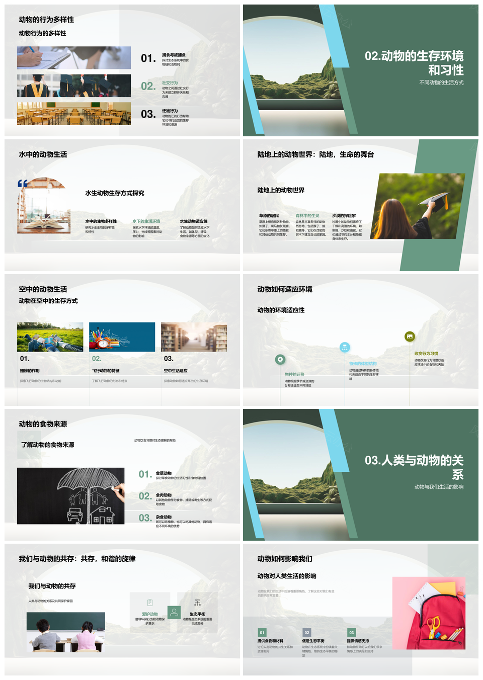 探索动物多样共护丛林生态PPT模板