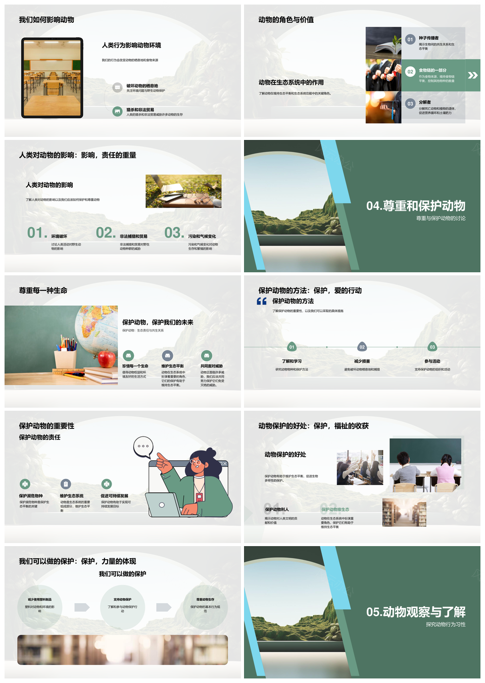 探索动物多样共护丛林生态PPT模板