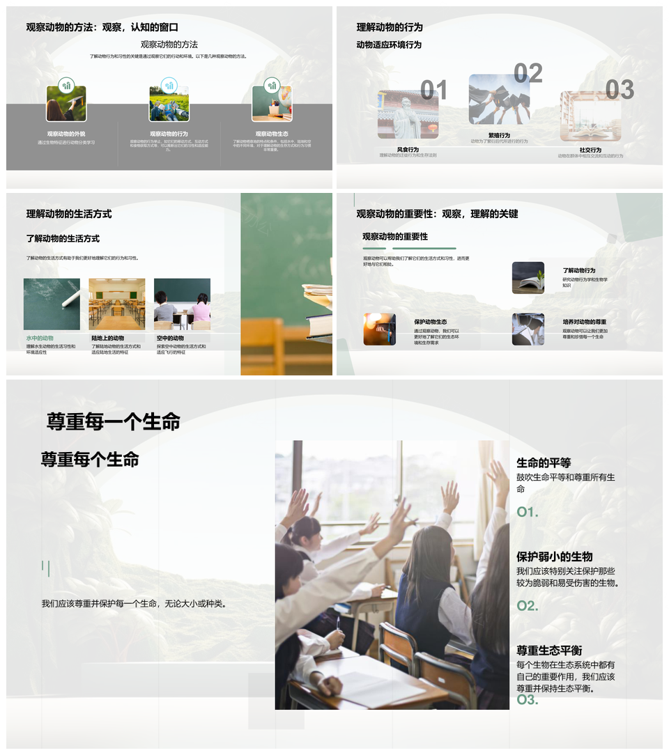 探索动物多样共护丛林生态PPT模板