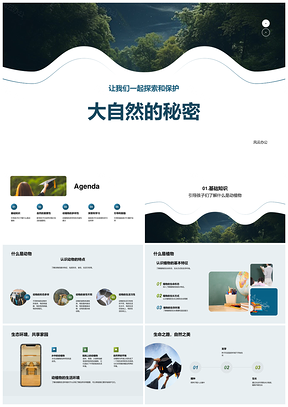自然奥秘动植物保护幼儿教育森林课件