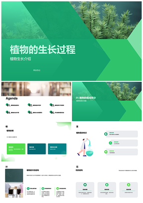 植物生长过程根茎叶花果与光线作用PPT模板