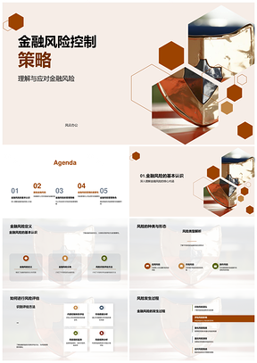 金融风险控制策略多维风险管理图表PPT模板