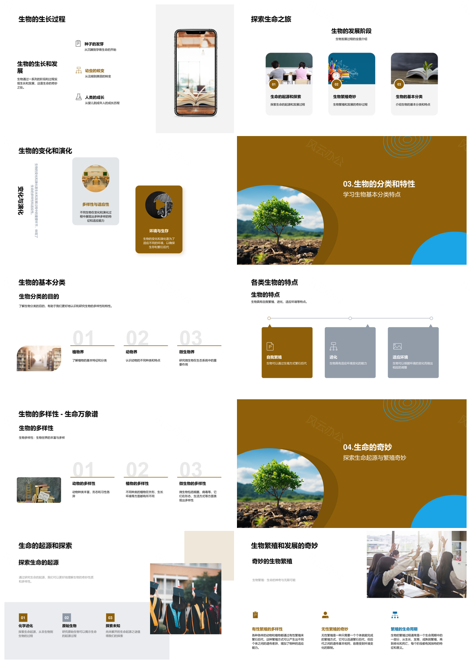 生命起源繁衍多样生长分类价值尊严探秘PPT模板