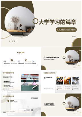 大学学习环境挑战与策略资源应用PPT模板