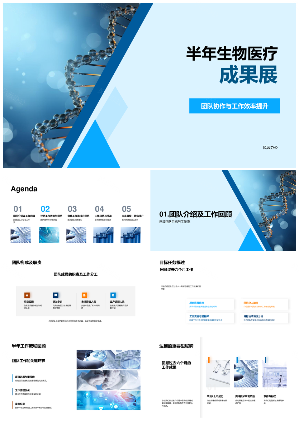 生物医疗半年高效协作优化流程成果展PPT模板