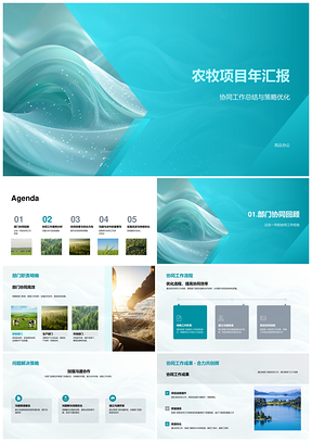 农牧项目协同策略优化流程案例年报PPT模板