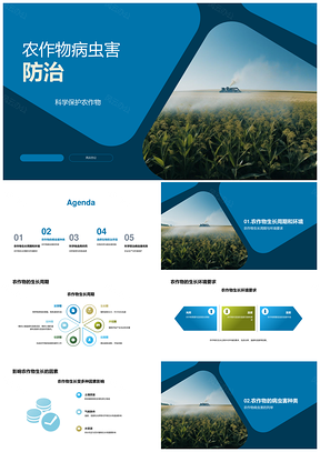 农作物病虫害科学防治与生长环境管理PPT模板