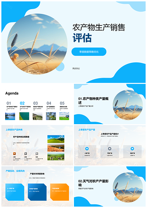 小麦田季度产销数据优化策略分析PPT模板