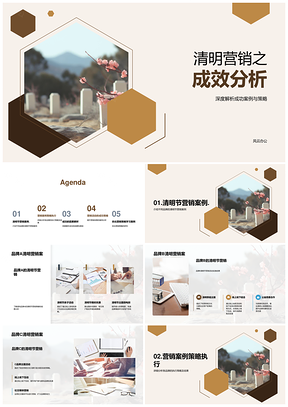 清明营销品牌ABC目标用户策略成效案例分析PPT模板
