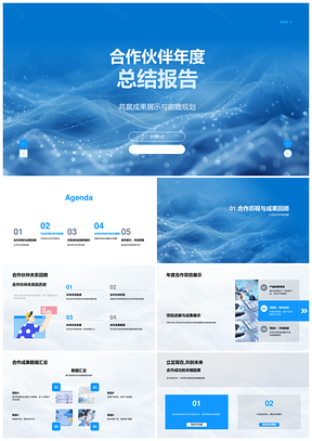 合作伙伴策略调整与市场变化年度总结PPT模板