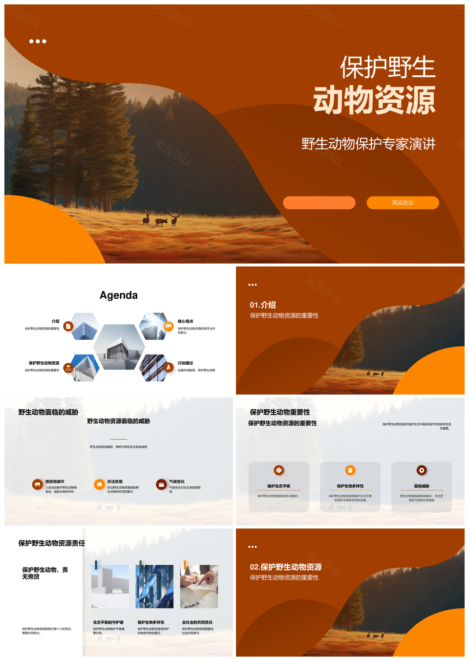 保护野生动物资源需专家全社会维护生态平衡PPT模板