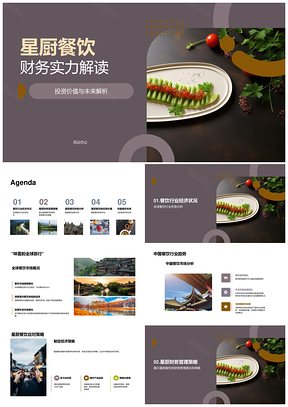 星厨餐饮财务资本运作与投资价值解析PPT模板