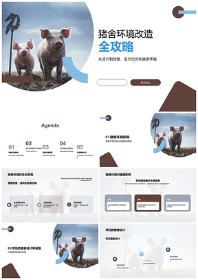 猪舍环境设备设计改造促健康生长技术攻略PPT模板
