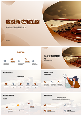 新法规策略调整规避风险提升竞争力PPT模板