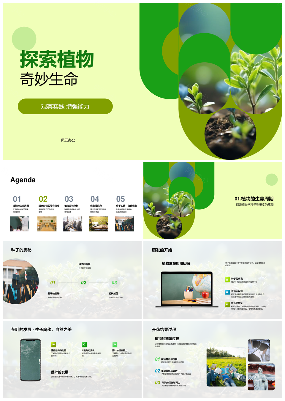 探索种子生长开花结果观察日记PPT模板