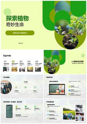探索种子生长开花结果观察日记PPT模板