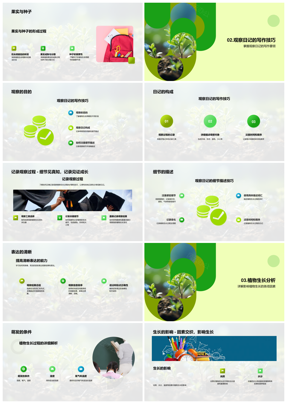 探索种子生长开花结果观察日记PPT模板