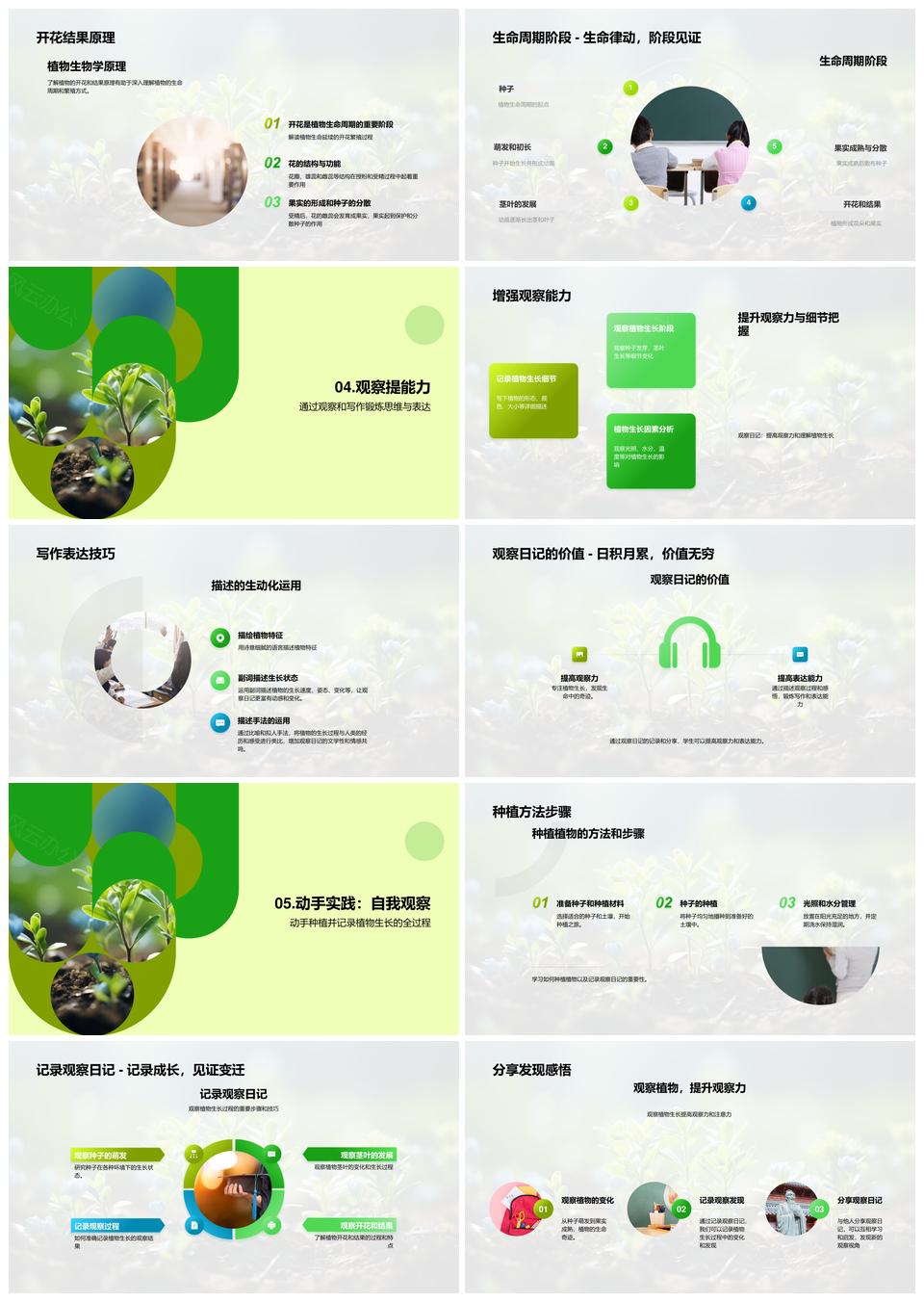探索种子生长开花结果观察日记PPT模板