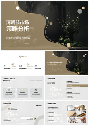 清明节市场策略反馈调整分析PPT模板