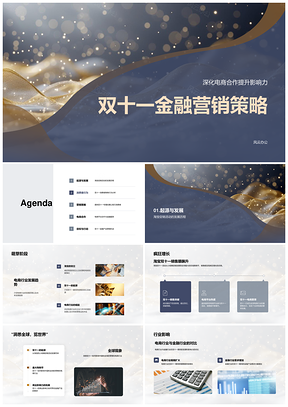 双十一金融电商合作优惠返利营销策略PPT模板