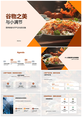 小满谷物传统美食营养健康文化PPT模板
