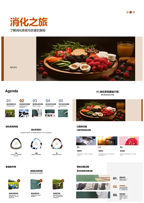 消化系统饮食营养吸收排泄图解PPT模板