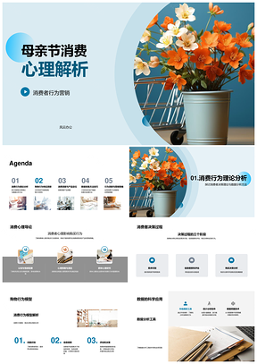 母亲节消费行为决策影响因素解析PPT模板