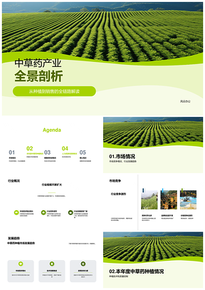 中草药种植行业概况竞争趋势分析PPT模板