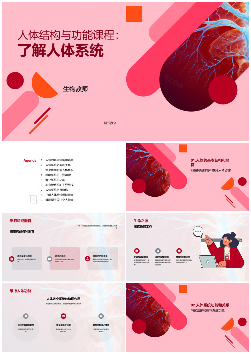 人体结构功能及器官系统解析PPT模板