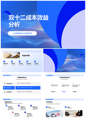 2025双十二人力资源成本效益优化与收益预测分析PPT模板