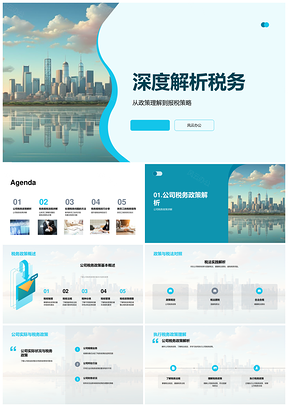 税务政策报税流程解析税款计算问题解决规划PPT模板