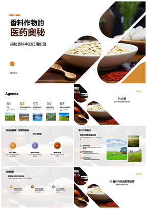 香料作物药用成分与健康应用机制研究PPT模板
