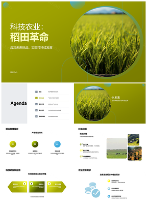 稻田科技稻谷种植趋势展望PPT模板