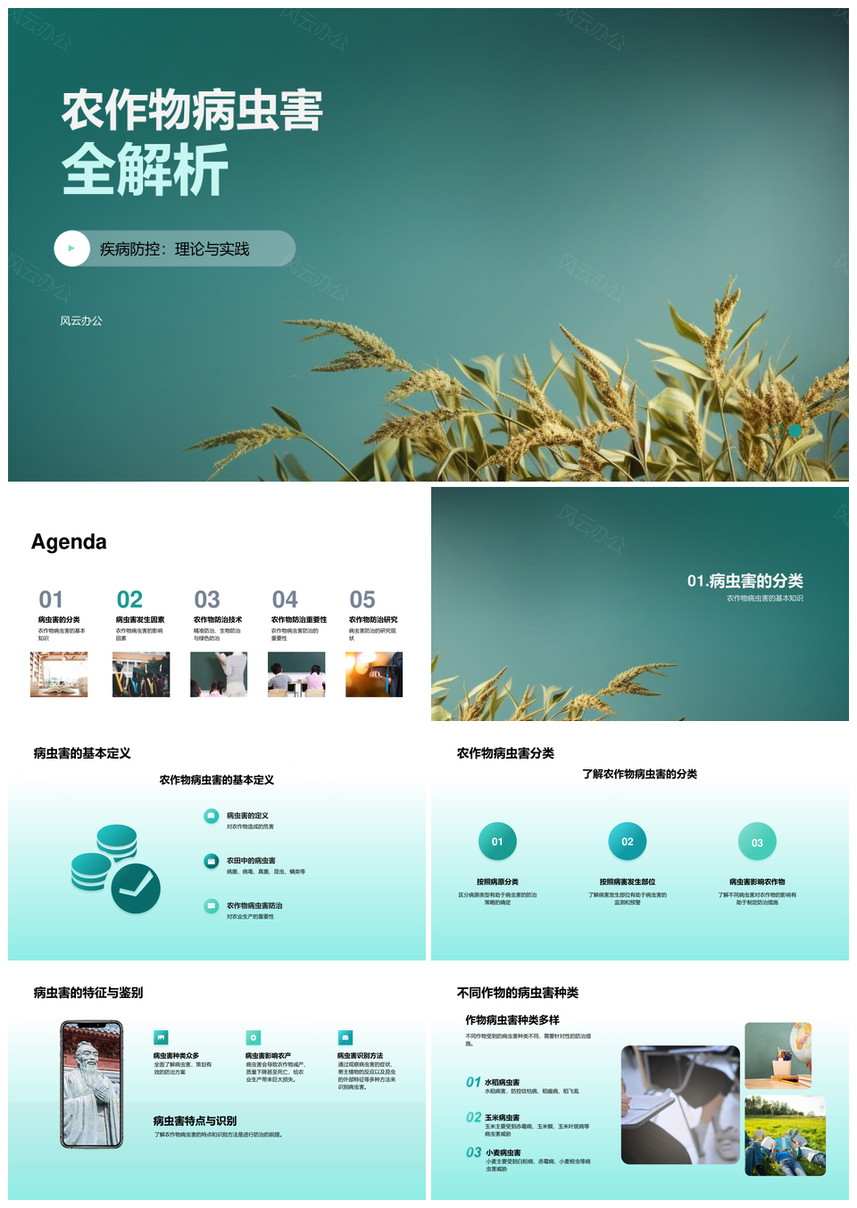 农作物病虫害分类特点与精准防治解析PPT模板