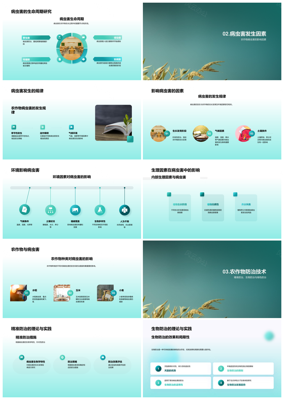 农作物病虫害分类特点与精准防治解析PPT模板