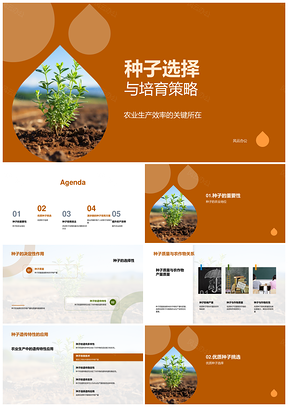麦田优质种子选育提升产质效PPT模板