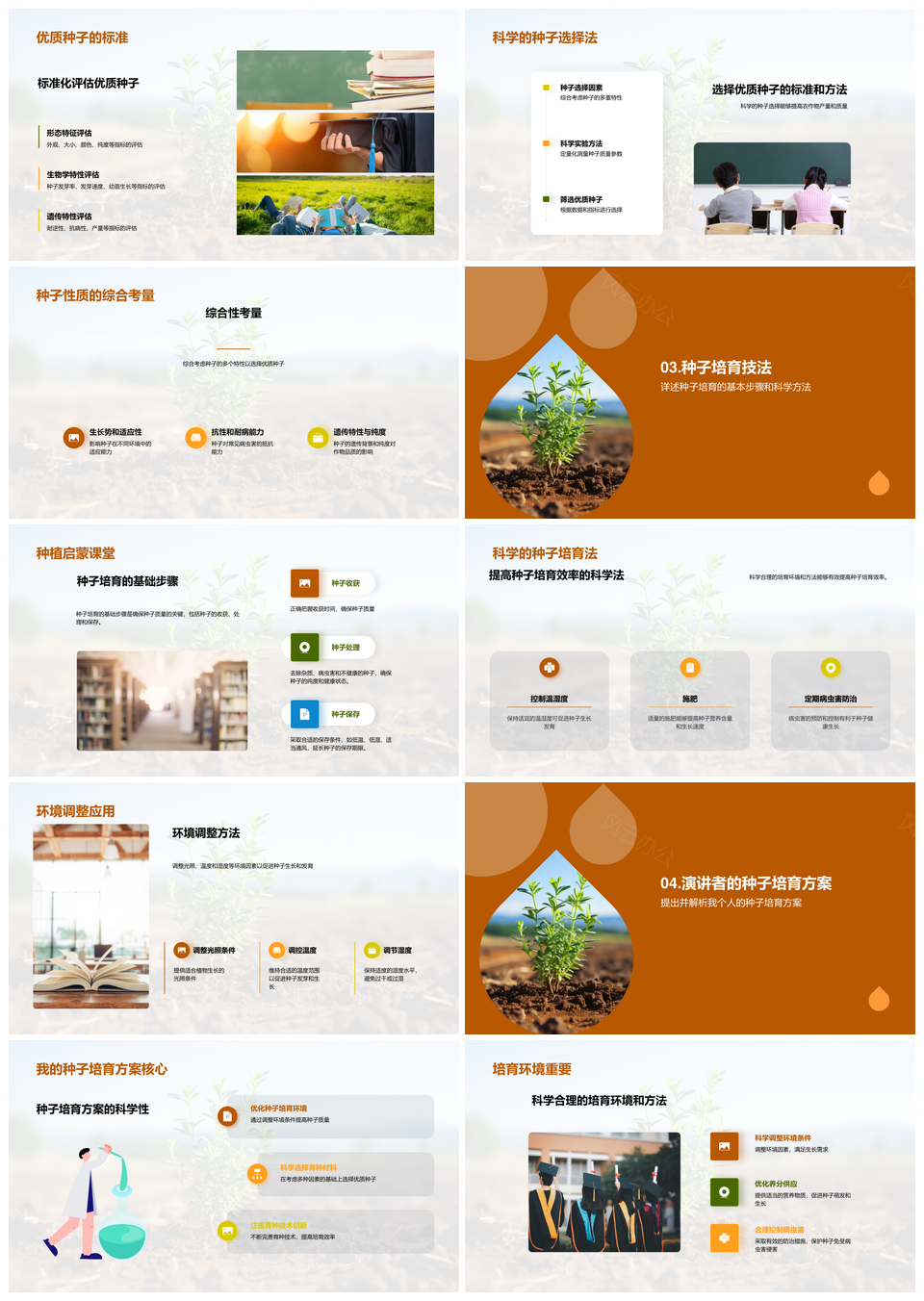 麦田优质种子选育提升产质效PPT模板